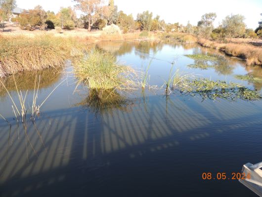 Wetlands low water
